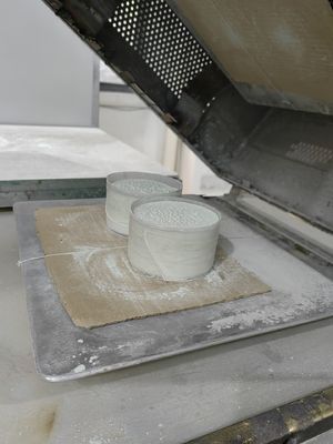 Fast Curing پودر قالب گیری ملامین مواد اولیه نمک اسپری مقاومت SGS