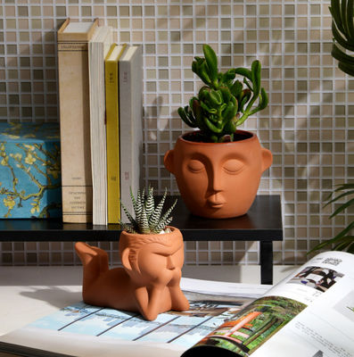 مقاومت در برابر لکه در ظرف های کوچک گیاهان تراکوتای داخلی