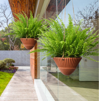 گلدان های آویزان برای گیاهان داخلی، گلدان های آویزان تراکوتا، گلدان های آویزان سرامیکی، سبد آویزان، گلدان های آویزان